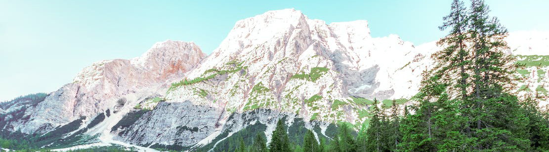 1440400.jpg